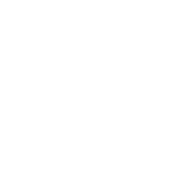 Icon of a person on a smartphone with chat and plus symbols.